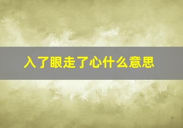 入了眼走了心什么意思