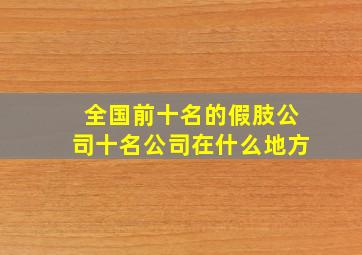 全国前十名的假肢公司十名公司在什么地方