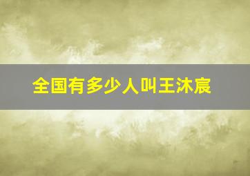 全国有多少人叫王沐宸