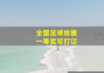 全国足球绘画一等奖可打卬