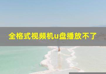 全格式视频机u盘播放不了