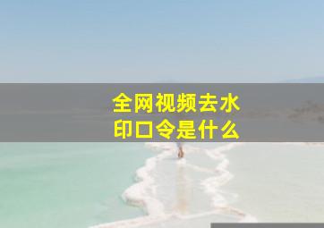 全网视频去水印口令是什么