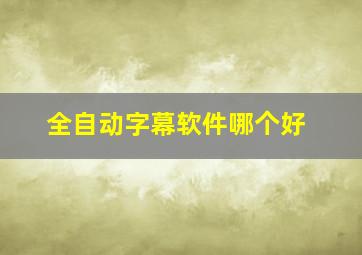 全自动字幕软件哪个好