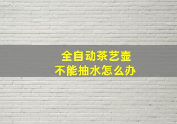 全自动茶艺壶不能抽水怎么办