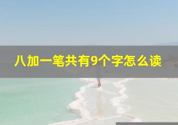 八加一笔共有9个字怎么读