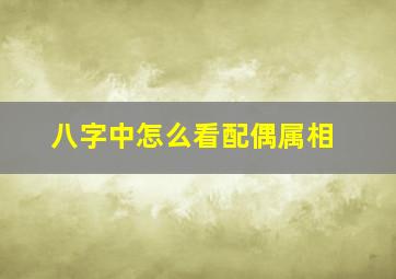 八字中怎么看配偶属相