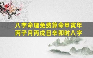 八字命理免费算命甲寅年丙子月丙戌日辛卯时八字