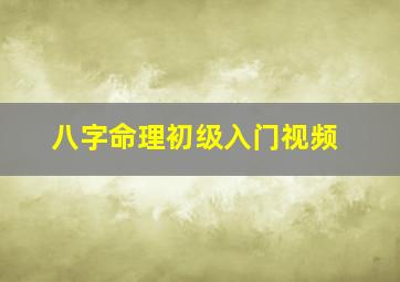 八字命理初级入门视频