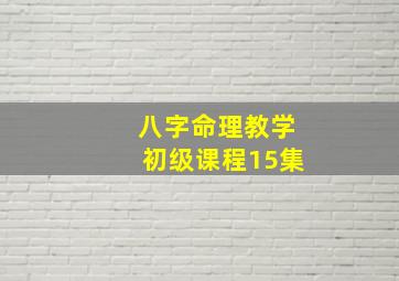 八字命理教学初级课程15集