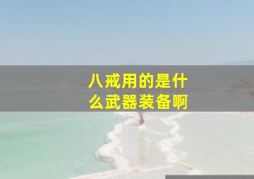 八戒用的是什么武器装备啊