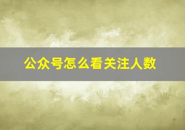 公众号怎么看关注人数