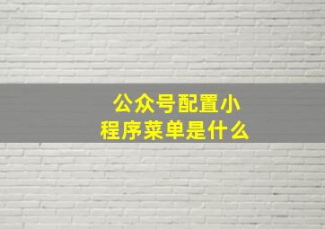 公众号配置小程序菜单是什么