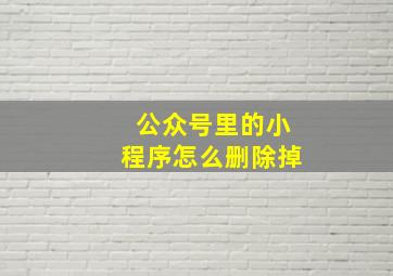 公众号里的小程序怎么删除掉