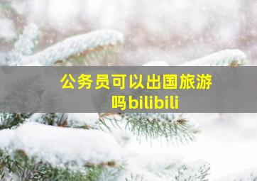 公务员可以出国旅游吗bilibili