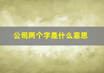 公司两个字是什么意思