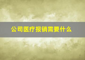 公司医疗报销需要什么