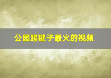 公园踢毽子最火的视频