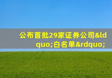 公布首批29家证券公司“白名单”