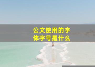 公文使用的字体字号是什么