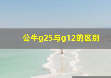 公牛g25与g12的区别