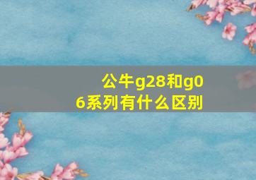 公牛g28和g06系列有什么区别