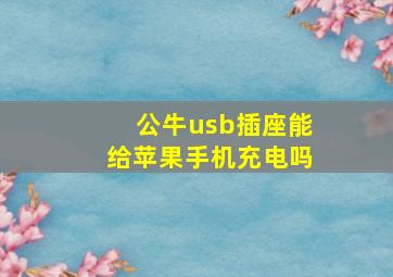 公牛usb插座能给苹果手机充电吗