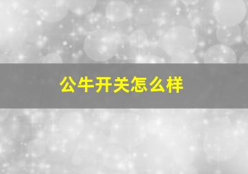 公牛开关怎么样