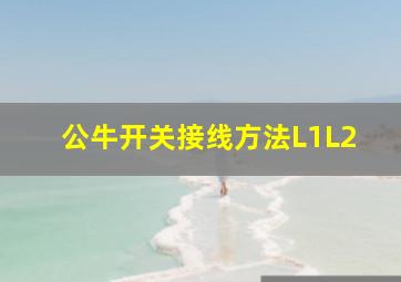 公牛开关接线方法L1L2