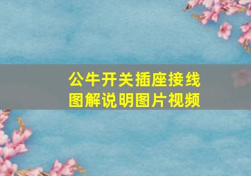 公牛开关插座接线图解说明图片视频