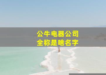 公牛电器公司全称是啥名字