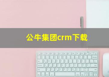 公牛集团crm下载