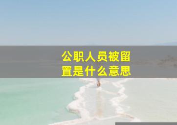 公职人员被留置是什么意思