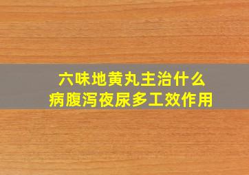 六味地黄丸主治什么病腹泻夜尿多工效作用