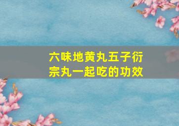 六味地黄丸五子衍宗丸一起吃的功效