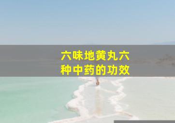 六味地黄丸六种中药的功效