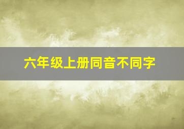 六年级上册同音不同字