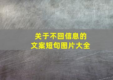 关于不回信息的文案短句图片大全