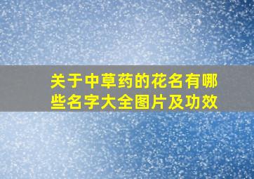 关于中草药的花名有哪些名字大全图片及功效