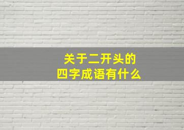 关于二开头的四字成语有什么