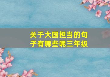 关于大国担当的句子有哪些呢三年级