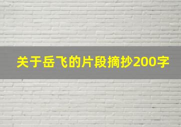 关于岳飞的片段摘抄200字