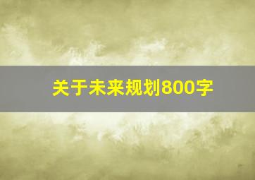 关于未来规划800字