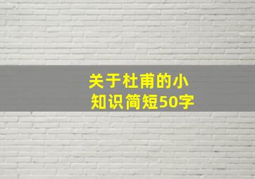 关于杜甫的小知识简短50字