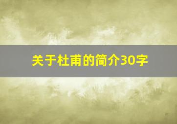 关于杜甫的简介30字