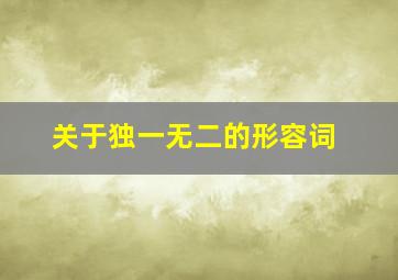 关于独一无二的形容词