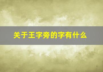 关于王字旁的字有什么