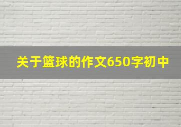 关于篮球的作文650字初中