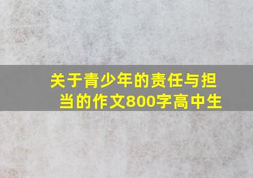 关于青少年的责任与担当的作文800字高中生