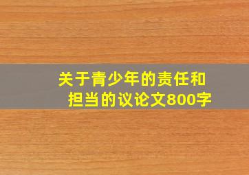 关于青少年的责任和担当的议论文800字