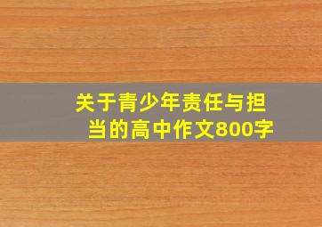 关于青少年责任与担当的高中作文800字